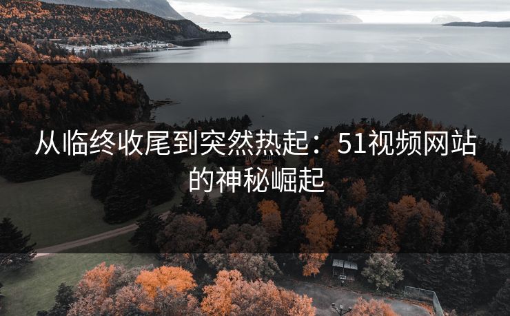 从临终收尾到突然热起：51视频网站的神秘崛起