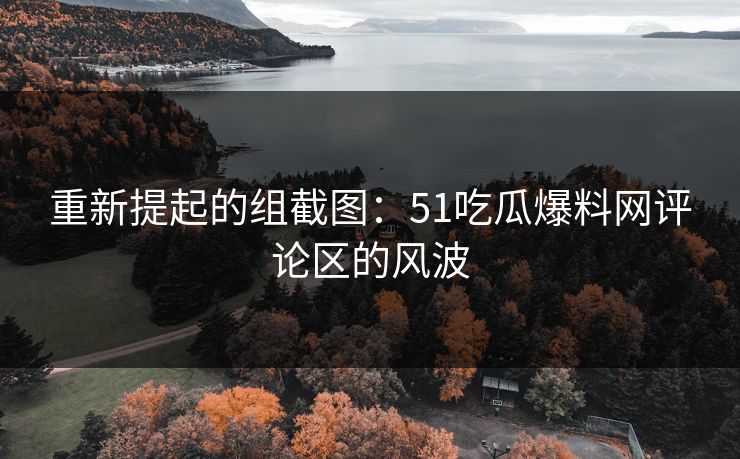 重新提起的组截图：51吃瓜爆料网评论区的风波