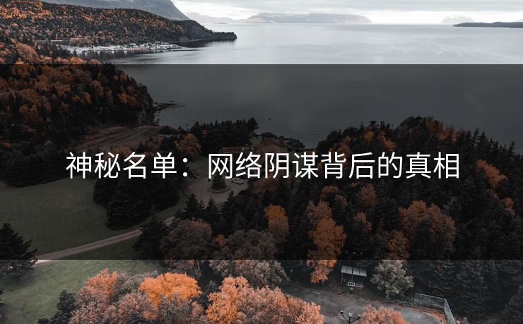 神秘名单：网络阴谋背后的真相